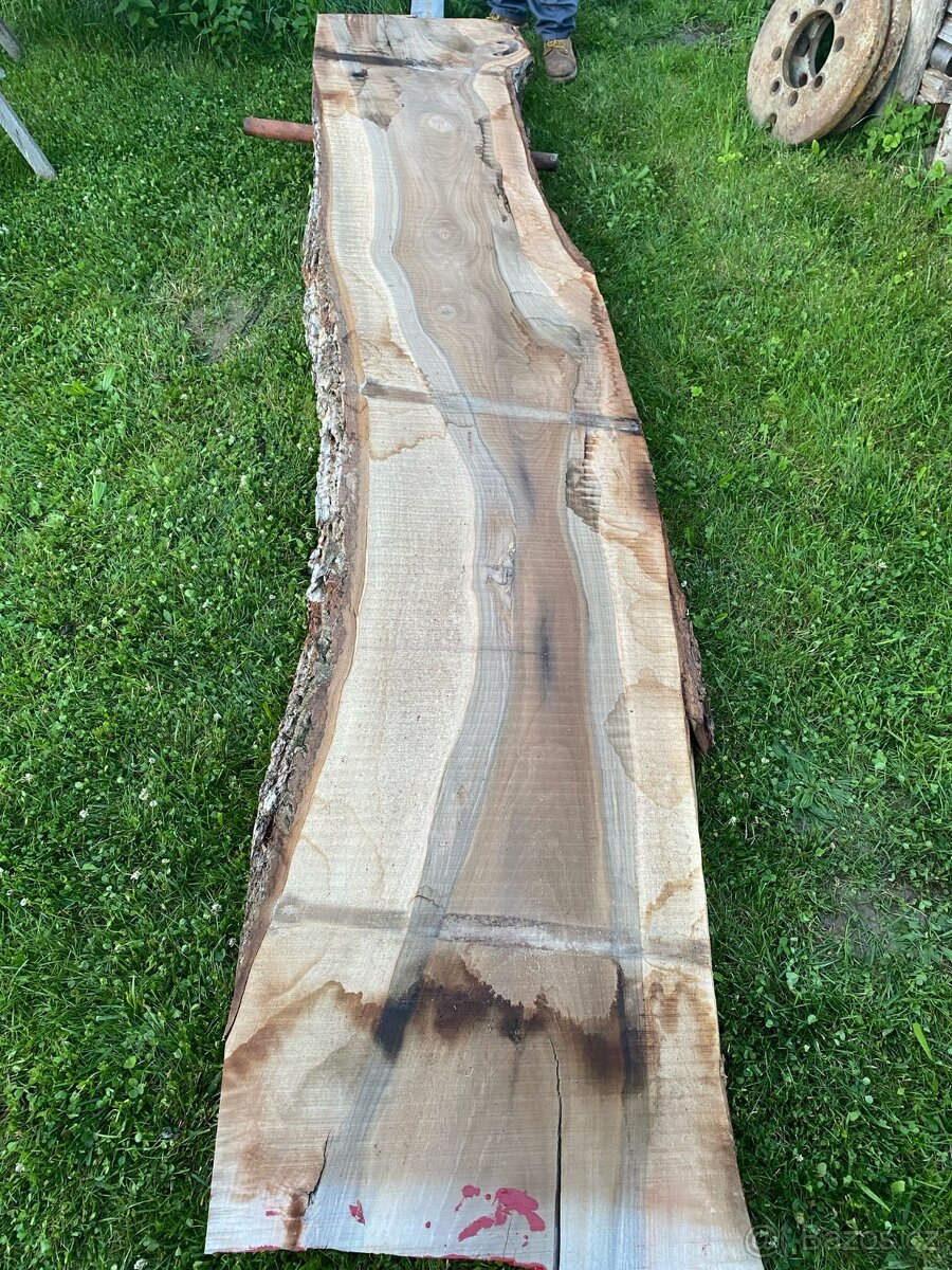 Fošny ořešáku - 5