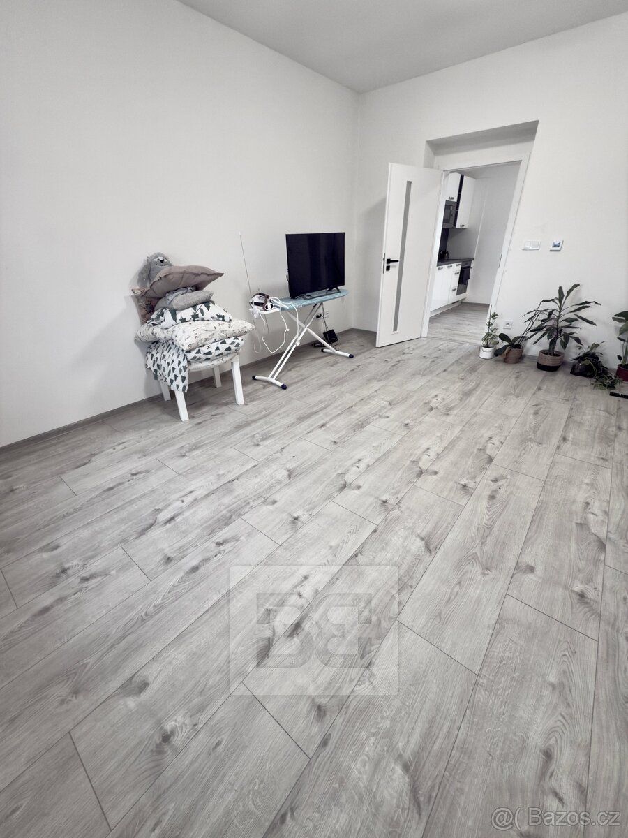 Pronájem bytu 1+1 45 m², se zahradou 100 m² - Mělník - 5