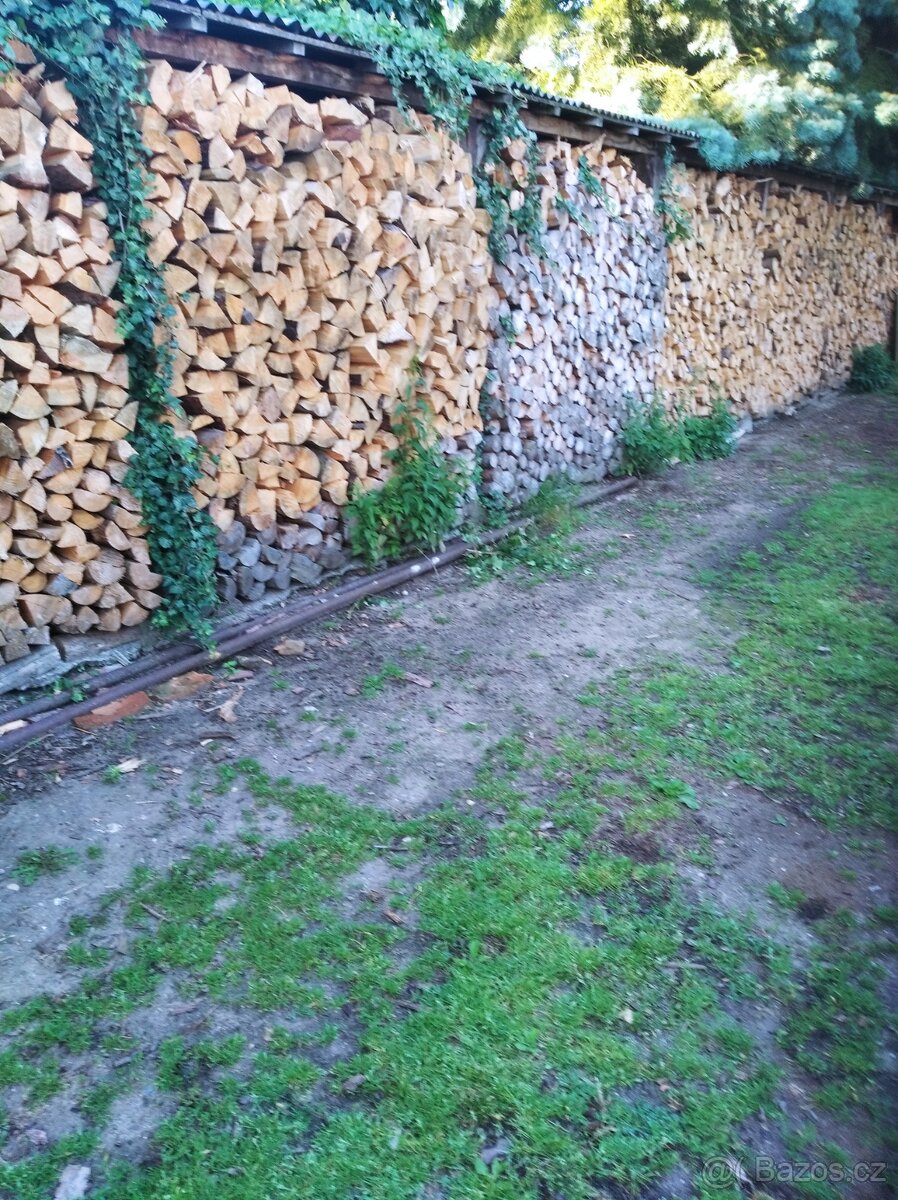 Prodám suché palivové dřevo - 5