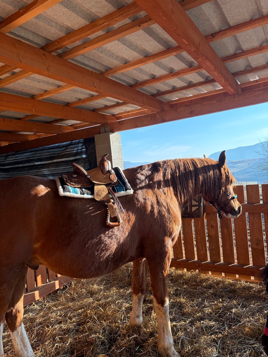 Westernové detské sedielko, pony, shetty - 5