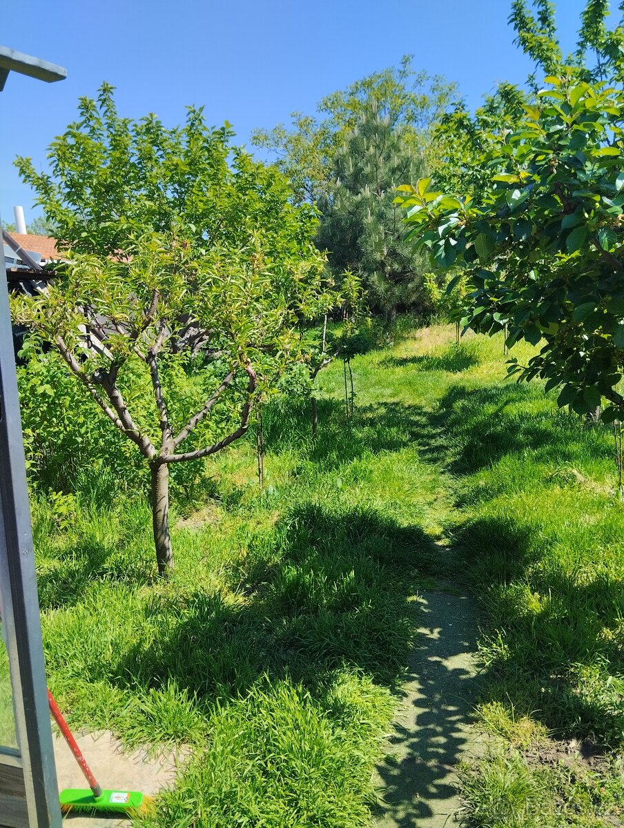 Prodej domu 5+1/2+1/garáž Mikulov -Mušlov 10 - 5