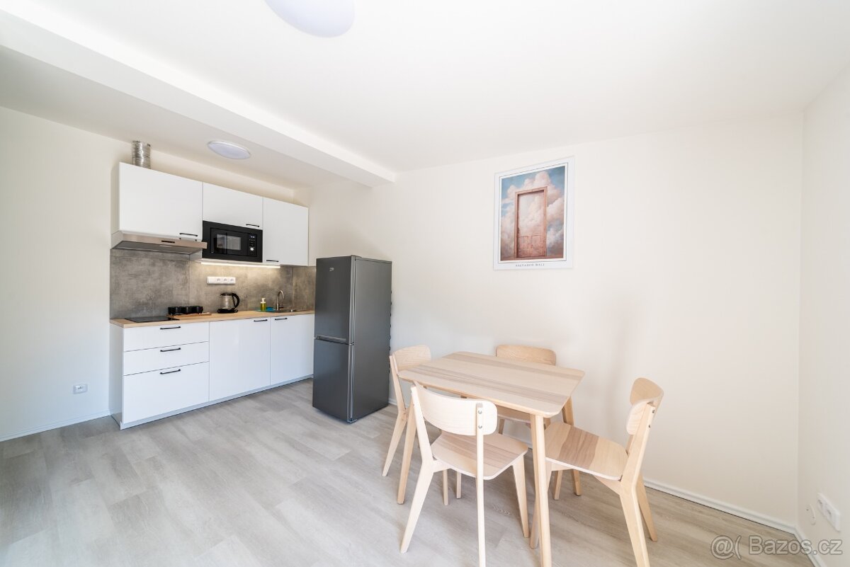 Pronájem— byt 2kk v centru Prahy (Žižkov). - 5