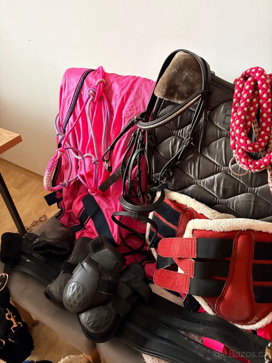 Vánoční balíček pro koně 🐎 - 5