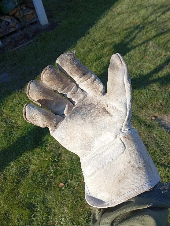 PRACOVNÍ RUKAVICE CALCUTTA - 5