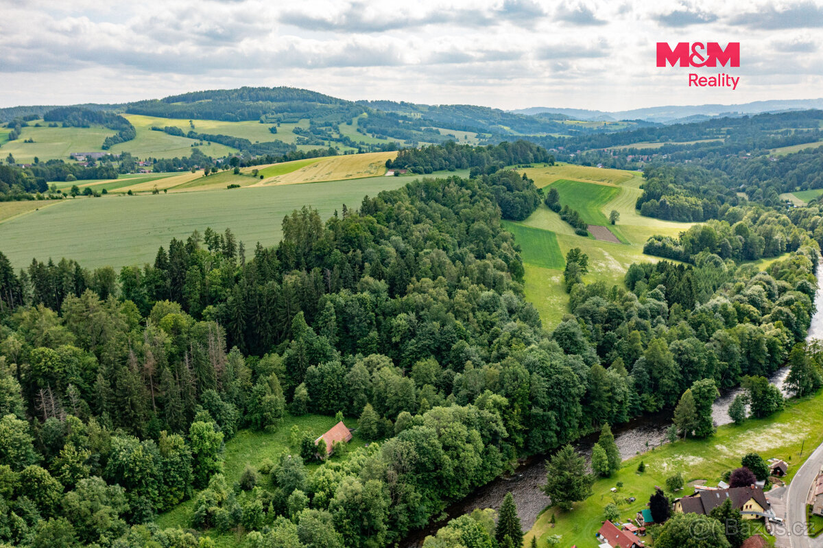 Prodej lesa, 36610 m², Peřimov - 5