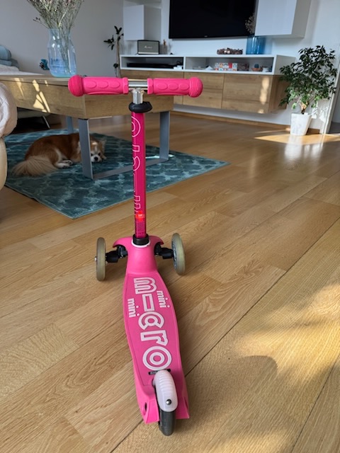 Koloběžka Mini Micro Delux - 5