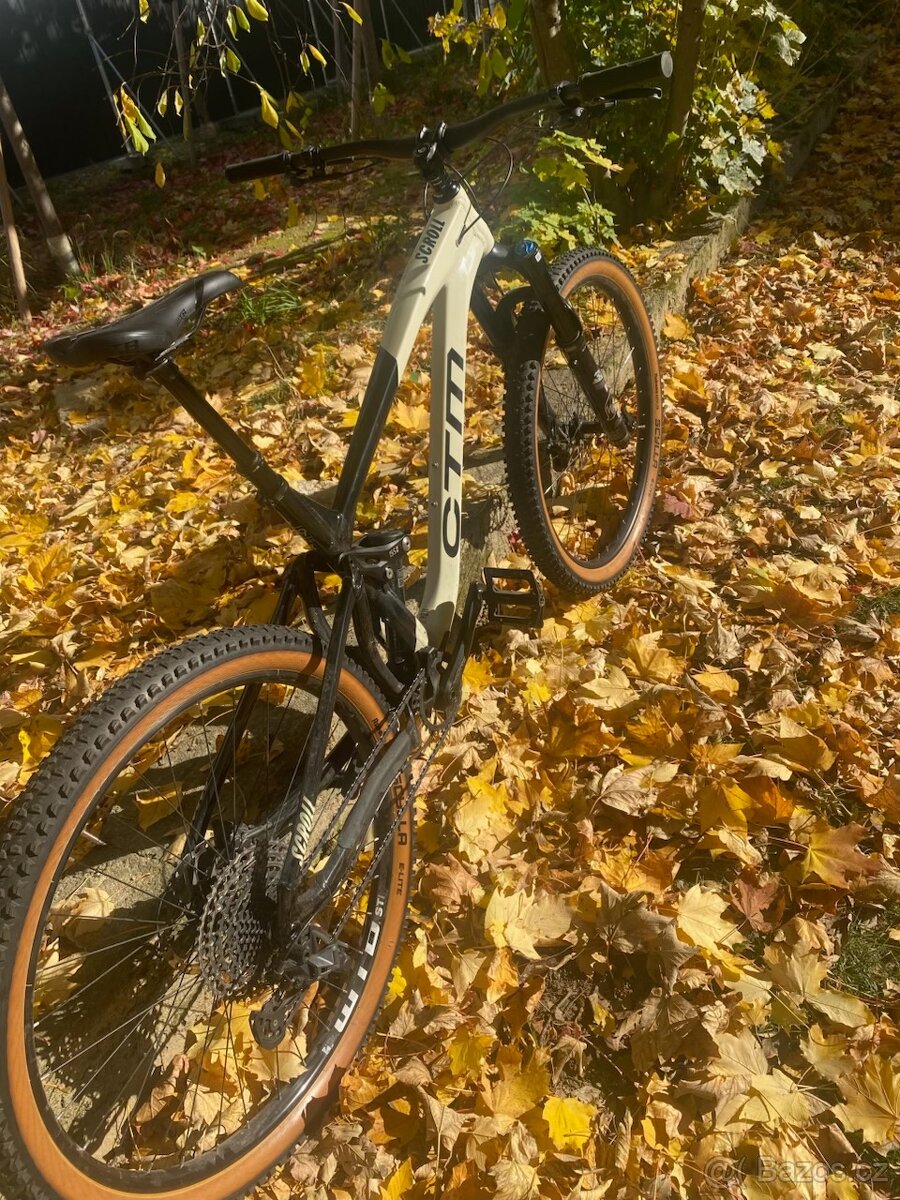 CTM SCROLL XPERT 29" 2023 - 5