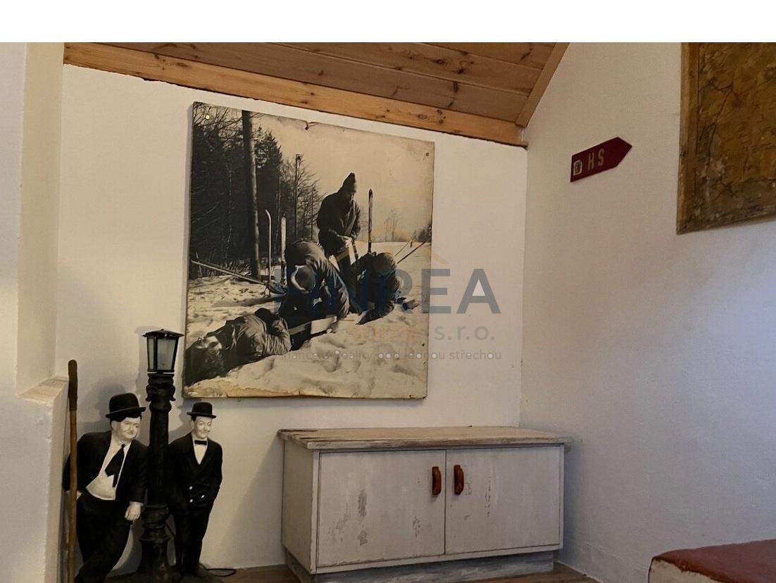 Prodej rodinného domu 5+1 s hospodou, Český Jiřetín, okr. Mo - 5