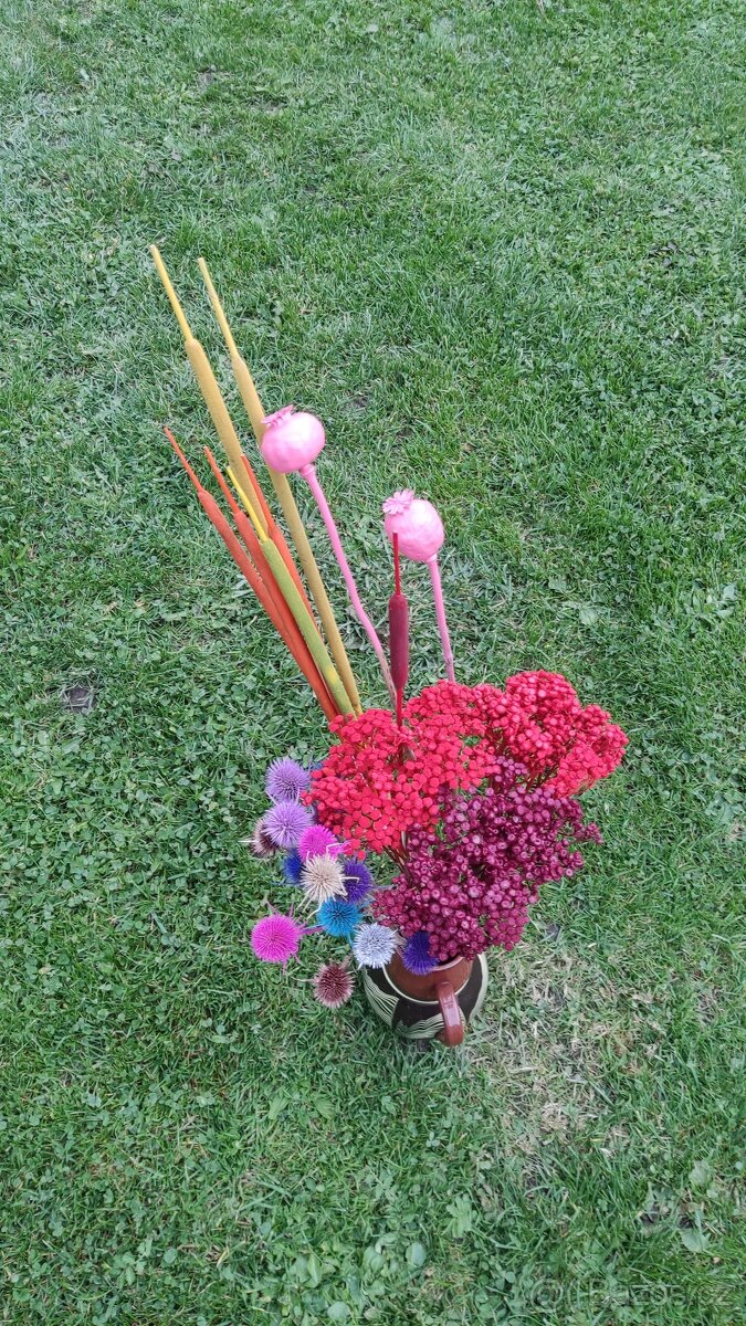 Barvená sušina - 5