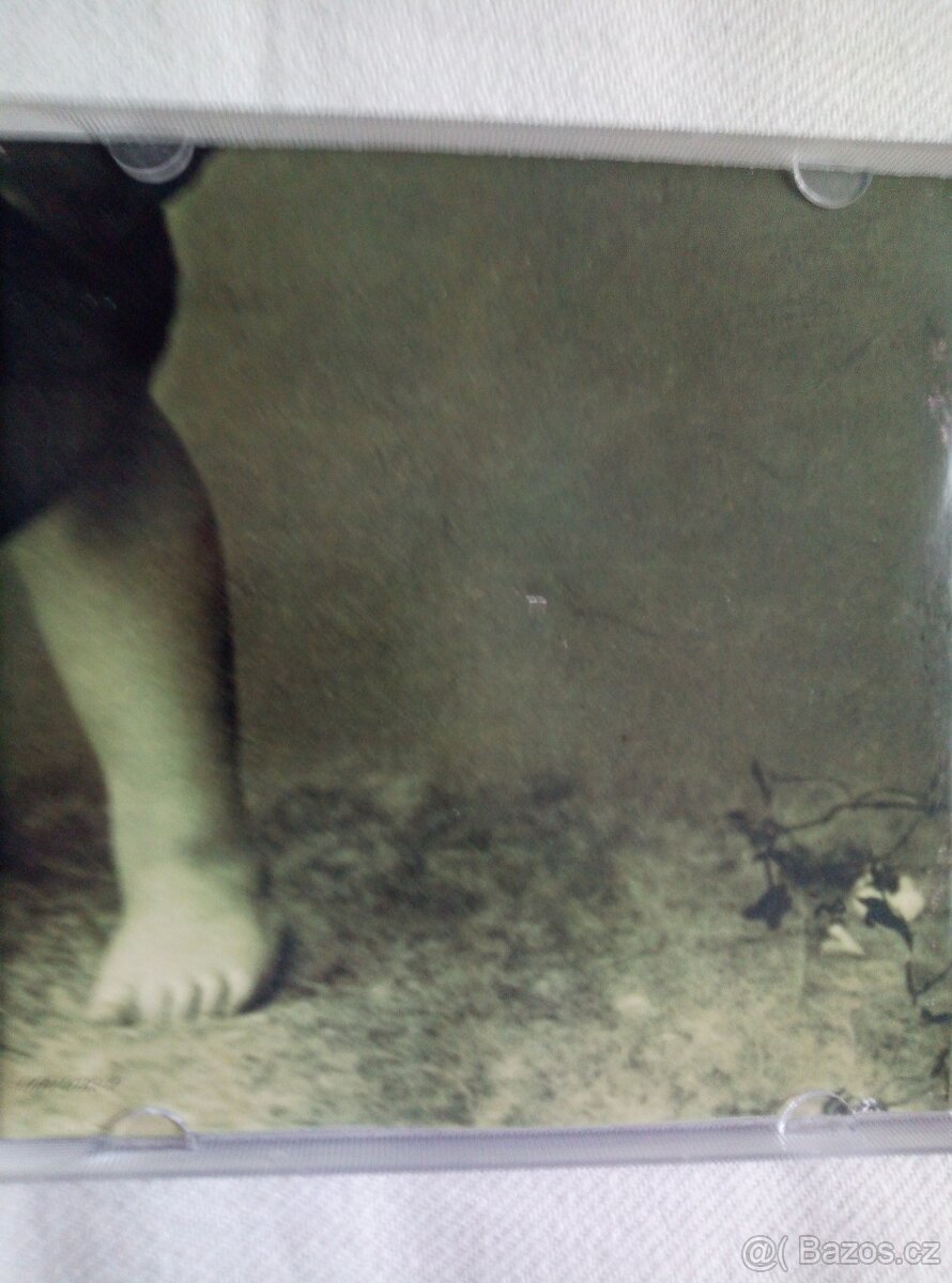 CD RICHARD MULLER "Retro" - 5