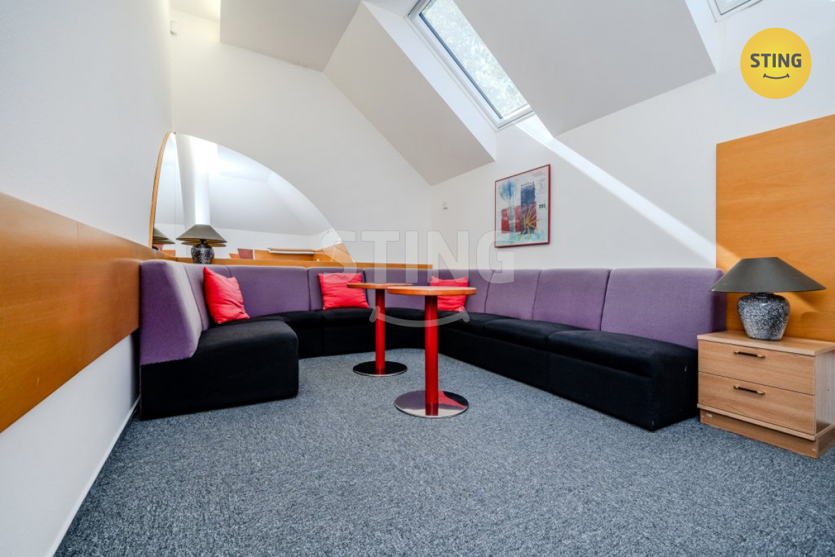 Pronájem komerční vily s vlastním parkováním, ul.. S, 133259 - 5