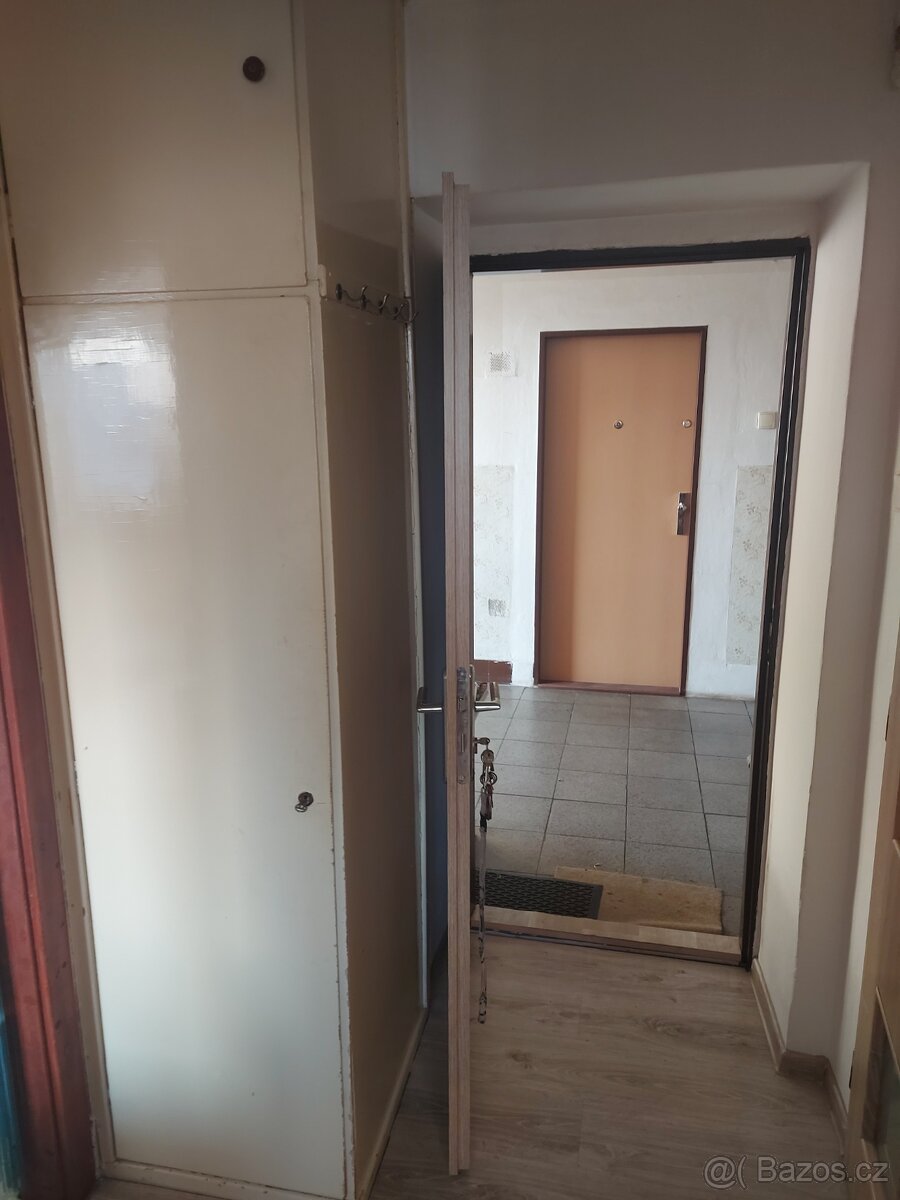 Pronájem - 5
