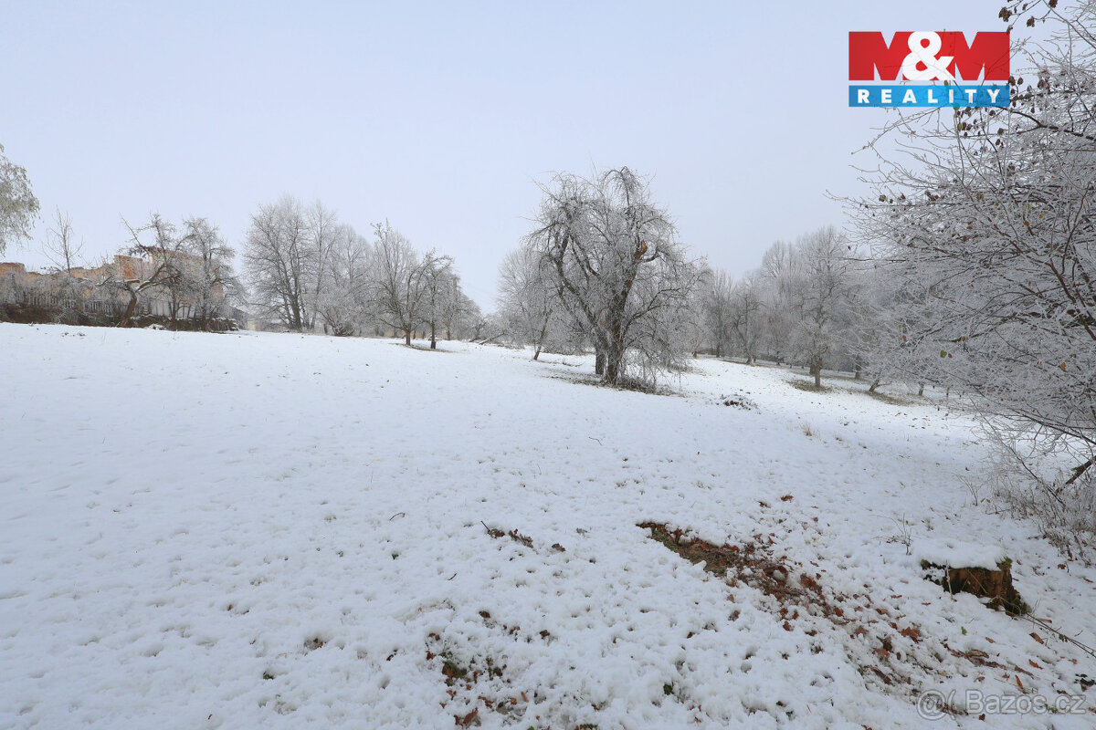 Prodej zahrady, 8163 m², Bernartice - 5