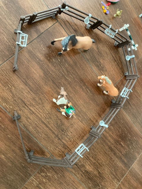 Prodám stáje, koně a příslušenství - 5