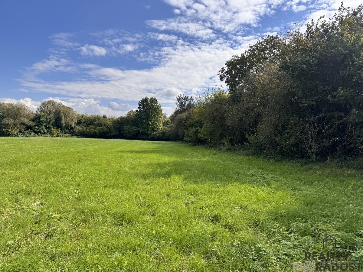 Prodej louky v k.ú. Rohatec u řeky Moravy - 5