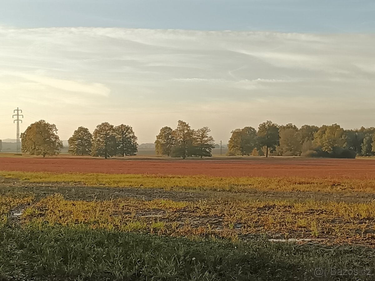 Pištín/ Češnovice Ostatní plocha 11644m2 - 5