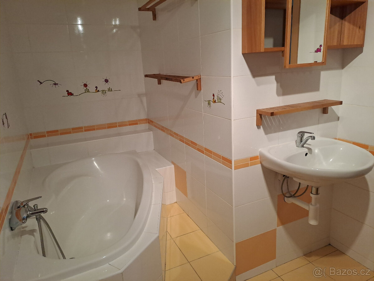Pronájem bytu 3+1 Mostek - 5