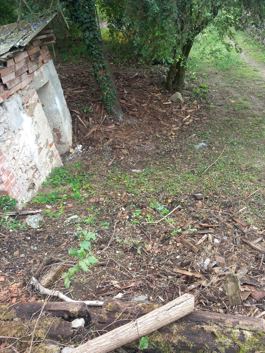 Pozemek se sklepem u dukovan - 5