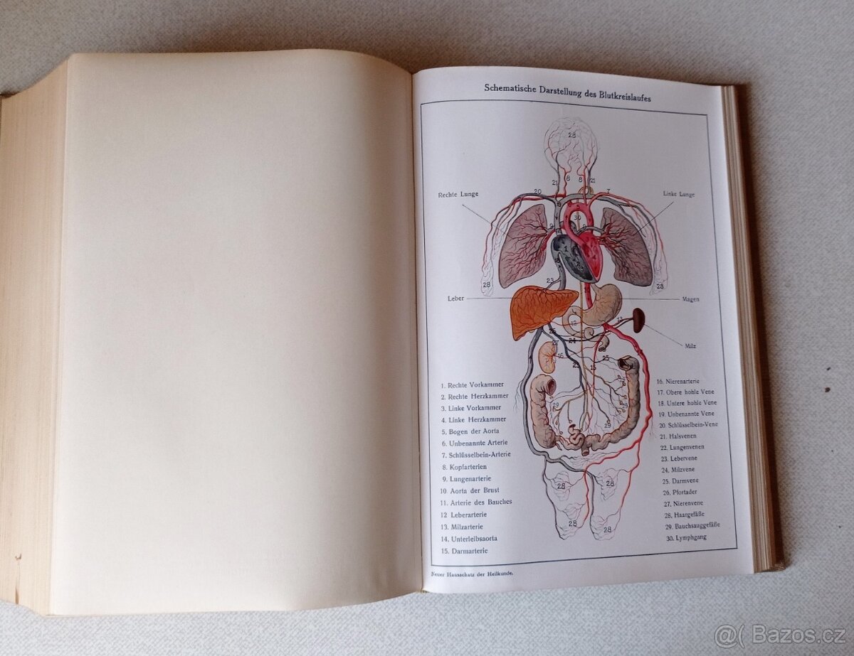 Domácí lékař r. 1938 - 5