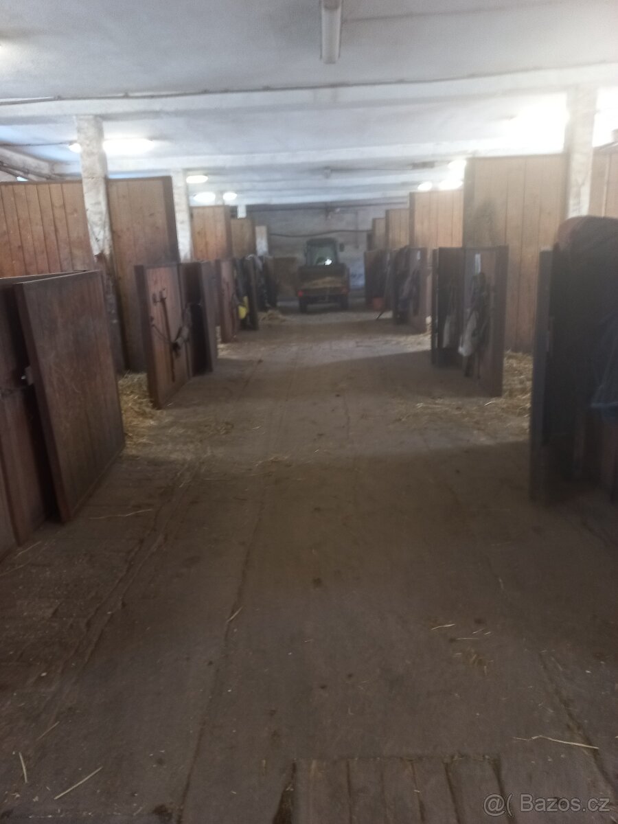 Hledám stajnika - 5