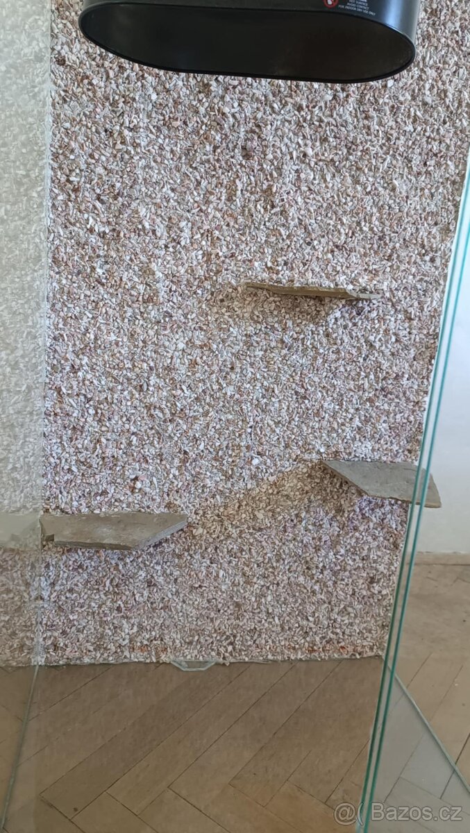 Velké terárium - 5