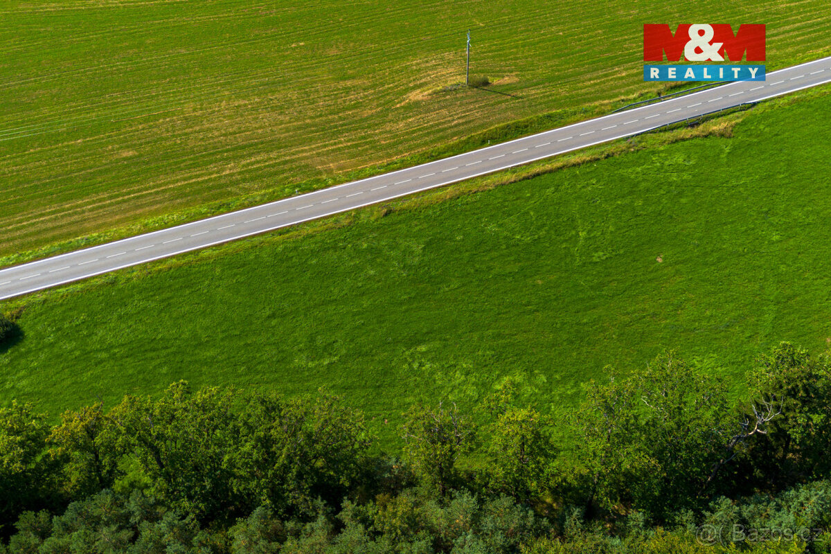 Prodej louky, 8721 m², Hracholusky - 5