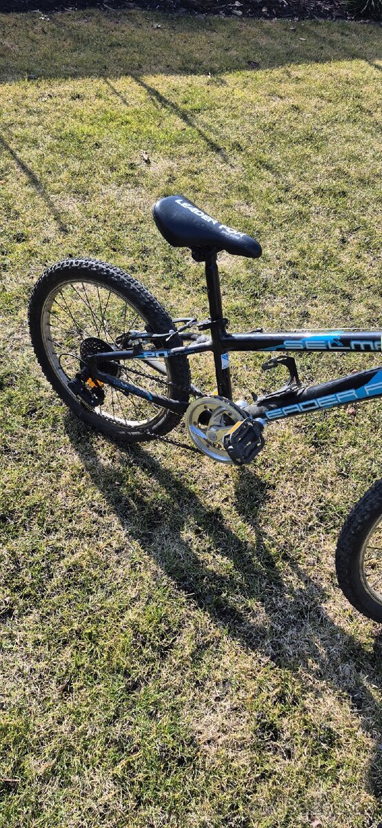 Leader Fox Selma 20" - 5