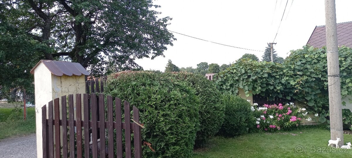 Provádíme - Zahradnické práce - Rizikové kácení - 5