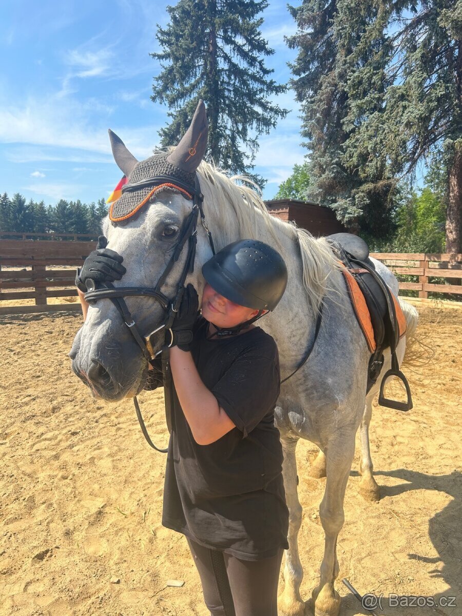 Starokladrubská kobyla - 5