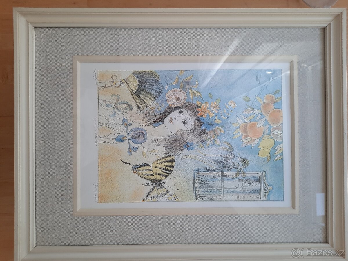 Obrazy Věry Tošenovské - 5