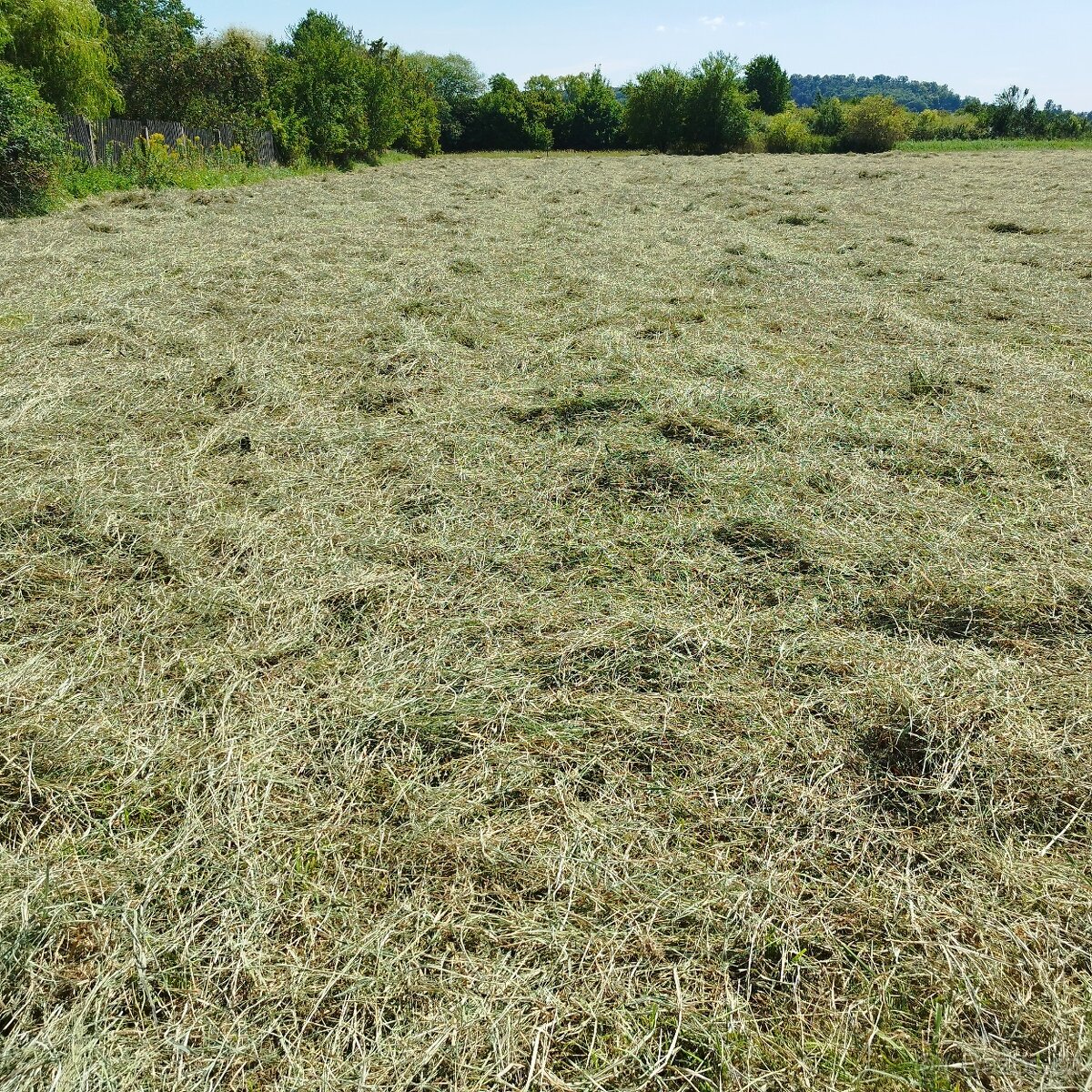 Prodám malé hranaté balíky sena - 5