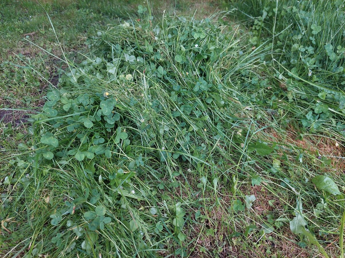 Domácí seno pro mazlíčky - 5