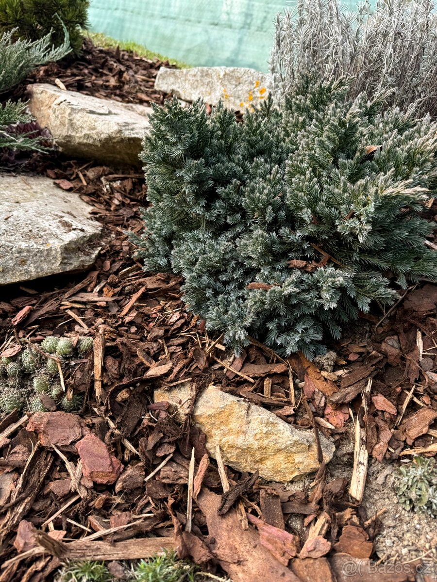 Mulčovací kůra BIG BAG 1m3 - 5