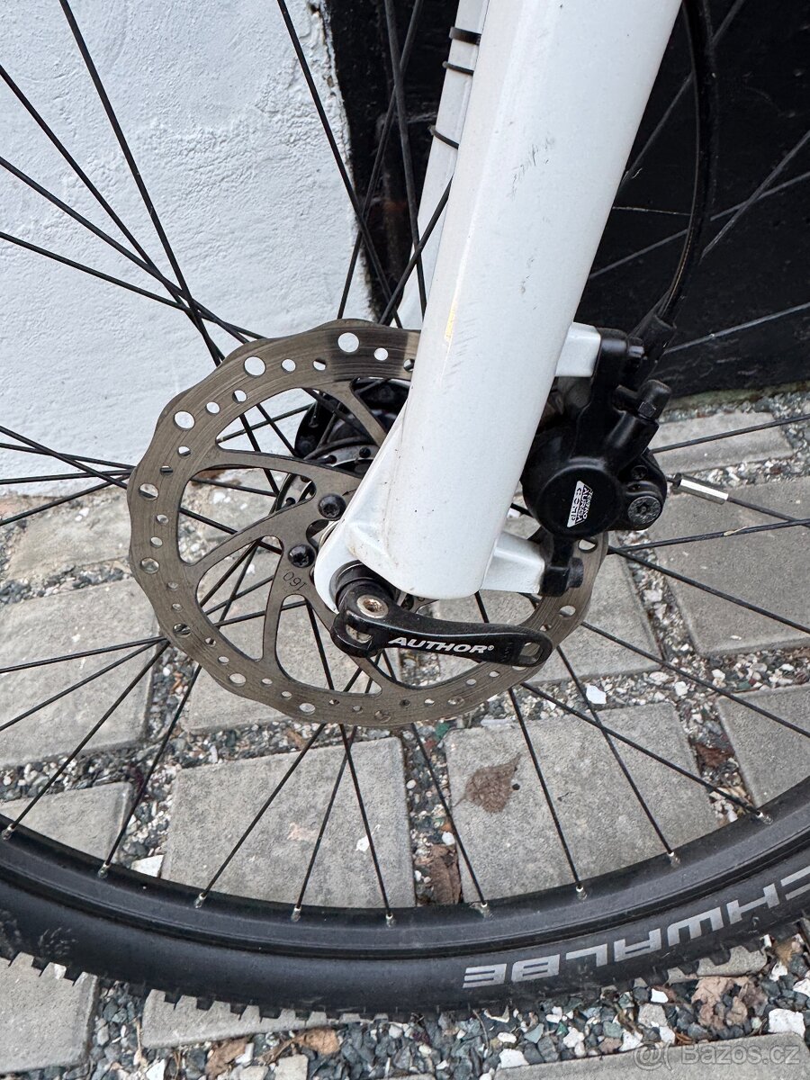 Author traction disc - 5