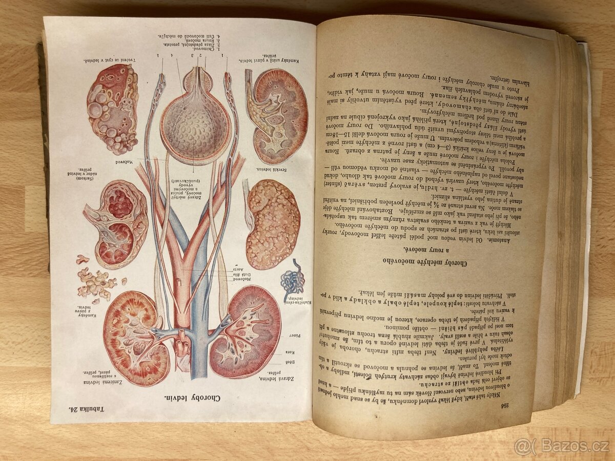 Historické vydání z roku 1923 - Domácí lékař - oba díly - 5