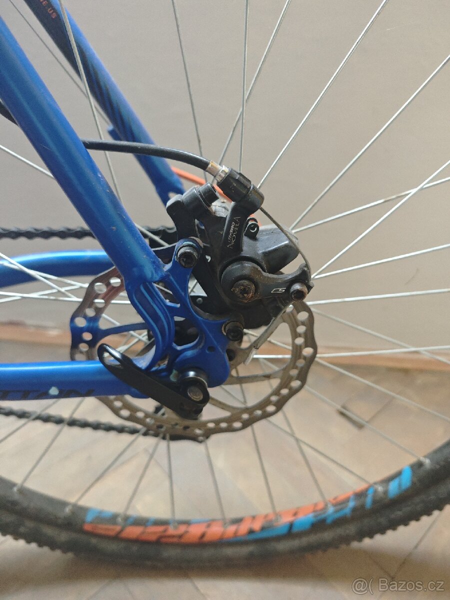 Rock Machine Manhattan - 5