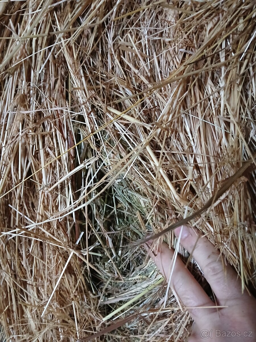 Seno z Vysočiny s dopravou - 5