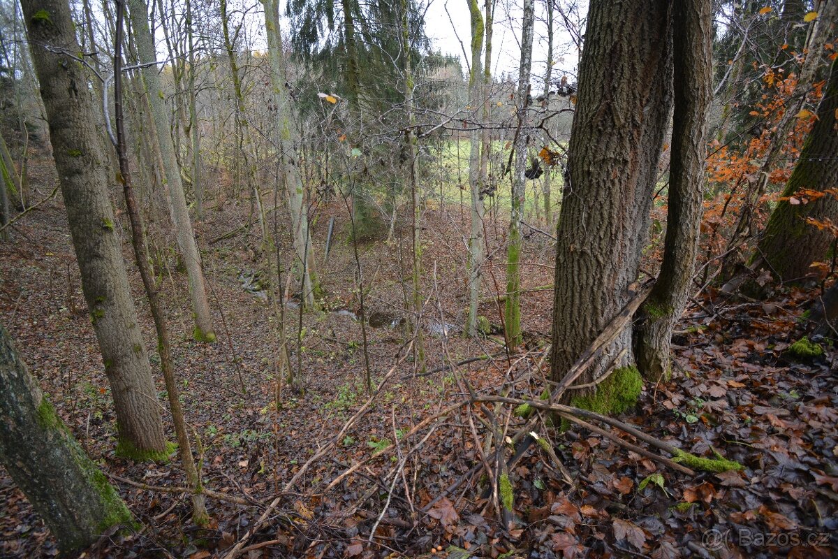 Pozemek Merklín - 5