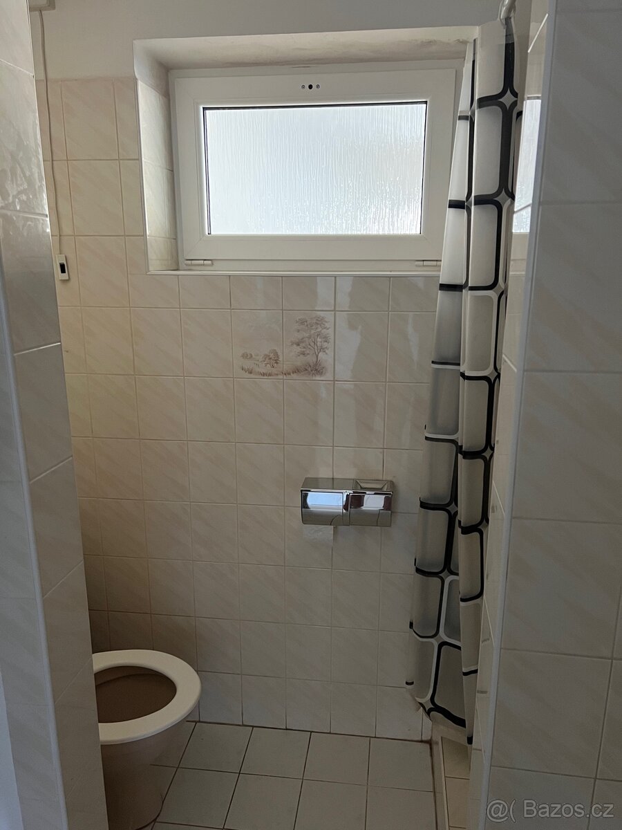 Pronájem bytových a nebytových prostor - 5