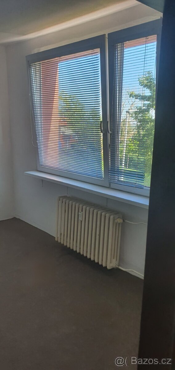 Pronájem bytů. - 5