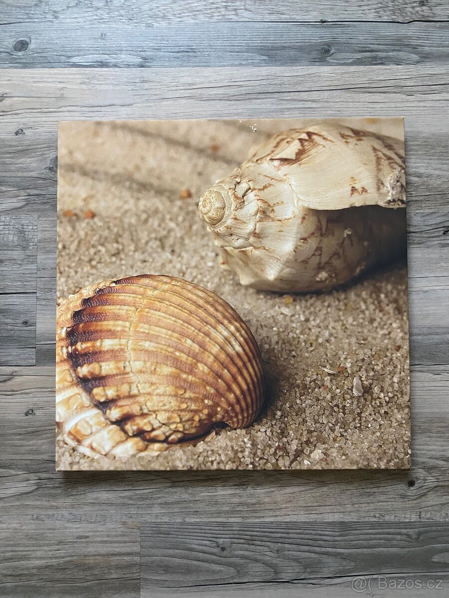 Různé obrazy (Rozměry a ceny v popisku) - 5