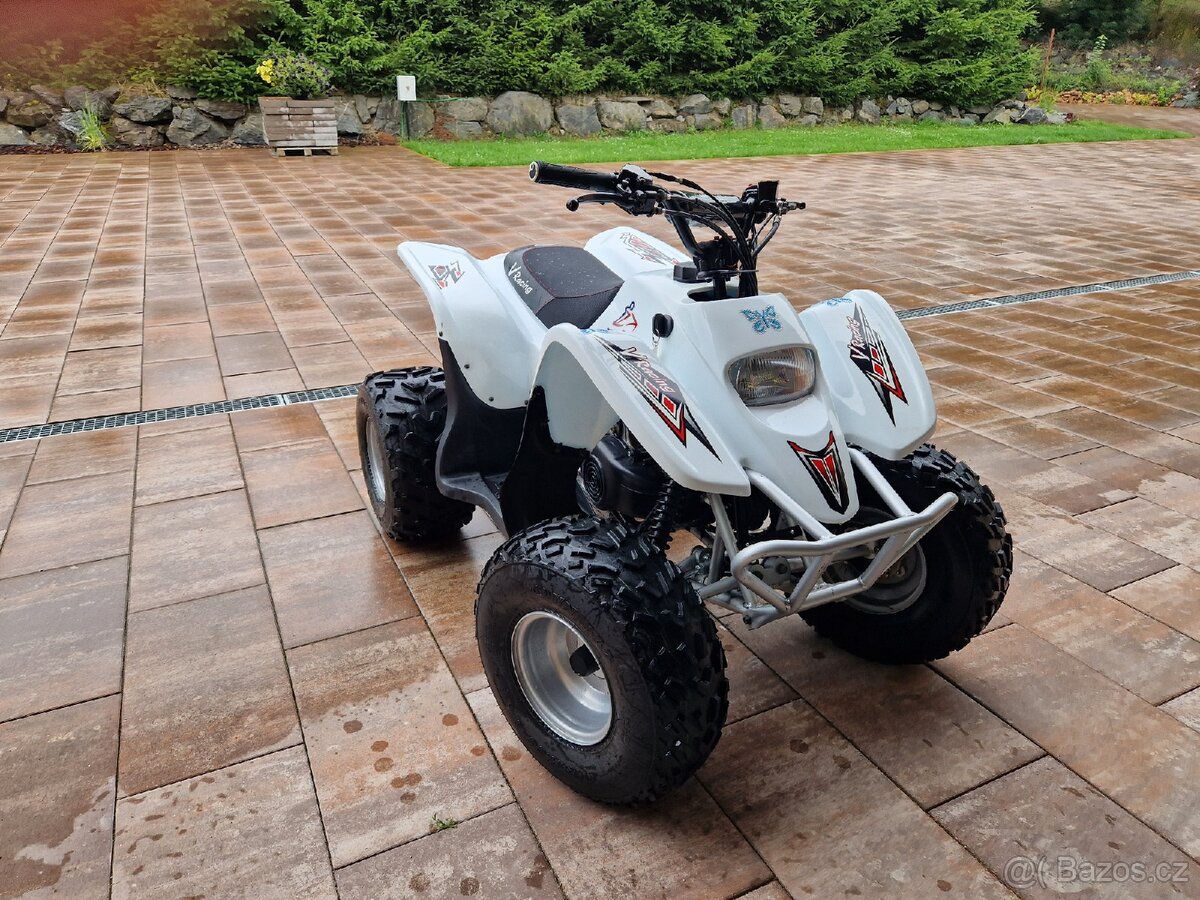 Dětská čtyřkolka ACCESS DDR 100