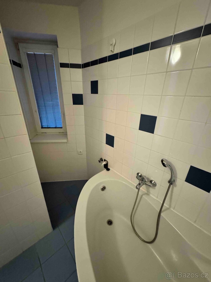 Pronájem bytu 1KK s terasou, Brno- Hálkova - 5
