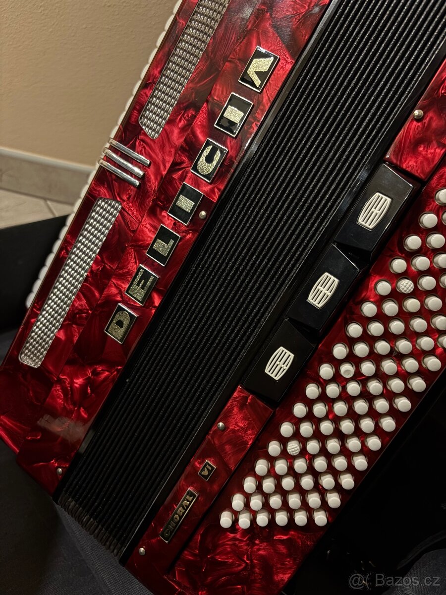 Akordeon Harmonika - 5