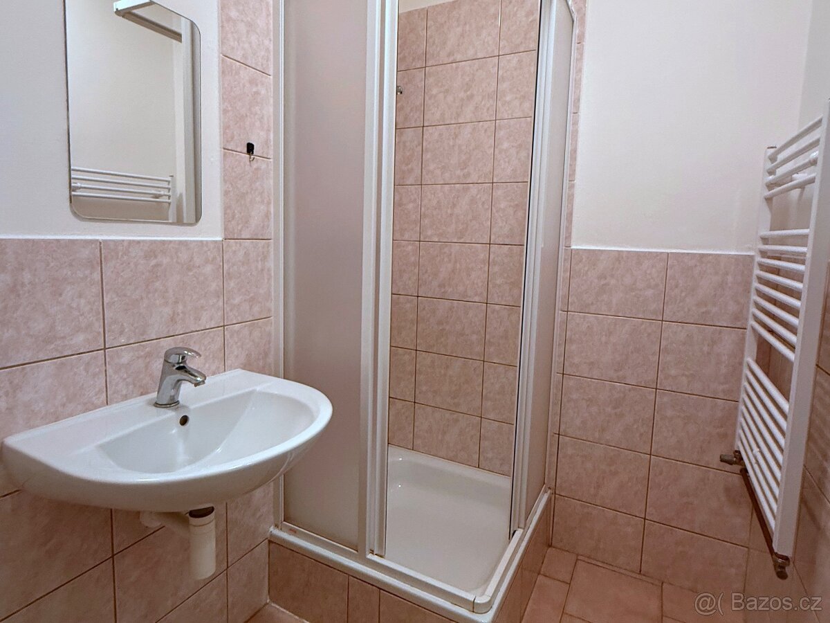 Pronájem bytu 2+kk Domažlice - 5