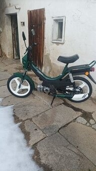 Korado manet - 5
