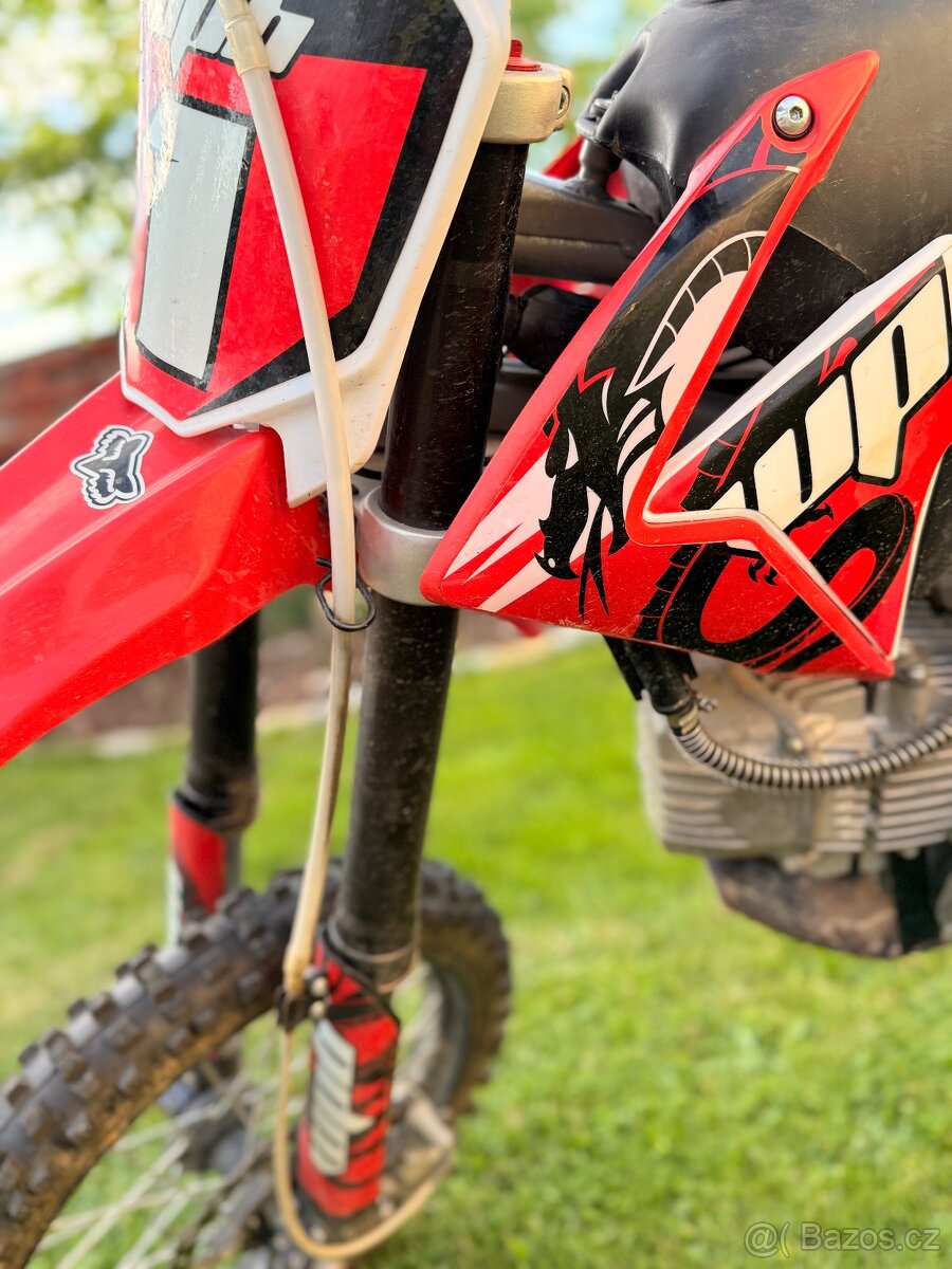 Pitbike WPB 190 Beast
