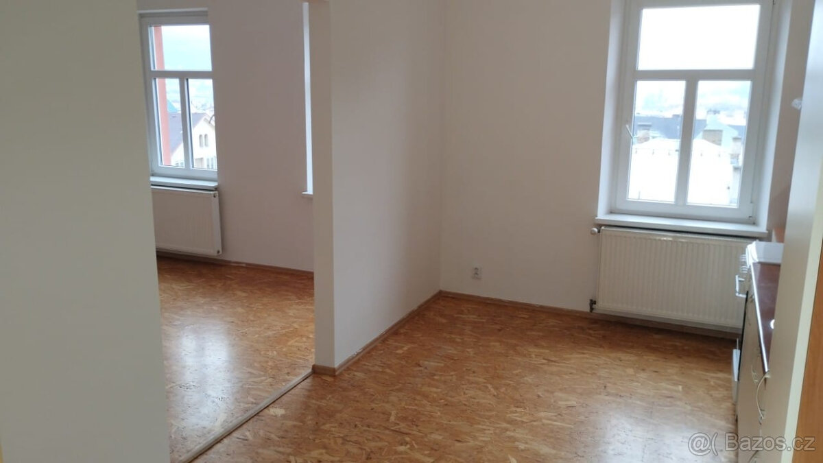 Pronajmu byt 2+1 - 5