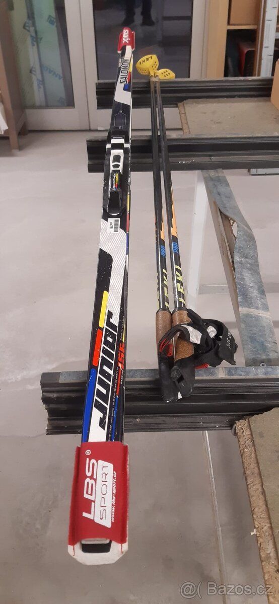 Boty Salomon RS Vitane Carbon SNS - 5