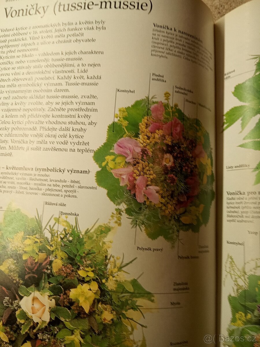 Bylinář - zdraví, krása a radost - L.Bremnessová - 5